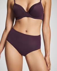 Vanishing-Edge-Microfiber-Modern-Brief Luxurious Intimates from Soma – Where Comfort Meets Elegance